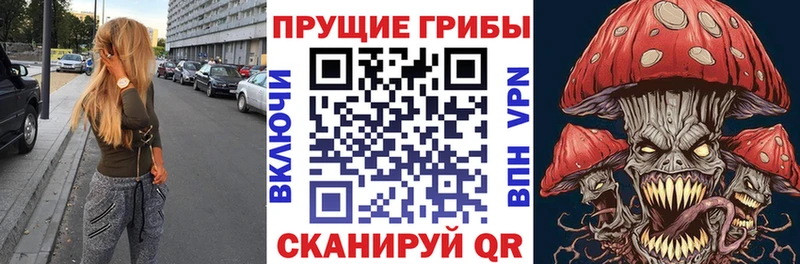 магазин продажи Сычёвка Псилоцибиновые грибы MAGIC MUSHROOMS